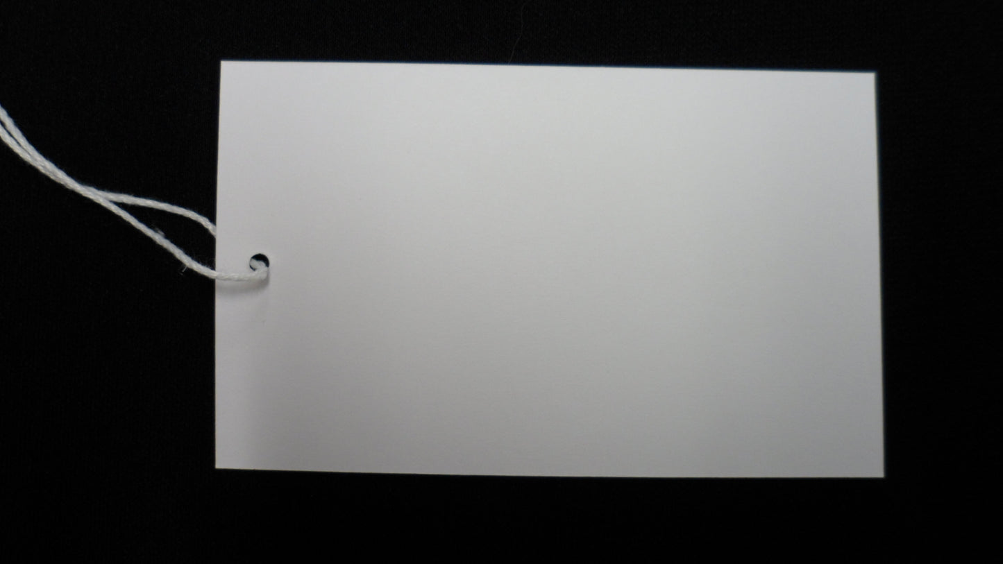 White Recycled Card Large Swing Tags