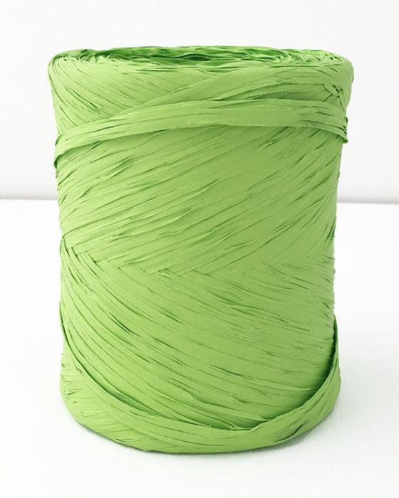 Poly Raffia Lime 5 mm x 200 Metres