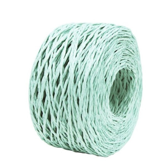 Paper Twine Mint 2 mm x 100 Metres Over Stocked Special